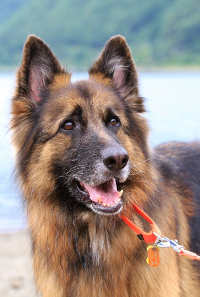 f:id:mamimami_LA:20130824115337j:image f:id:mamimami_LA:20130824115337j:image