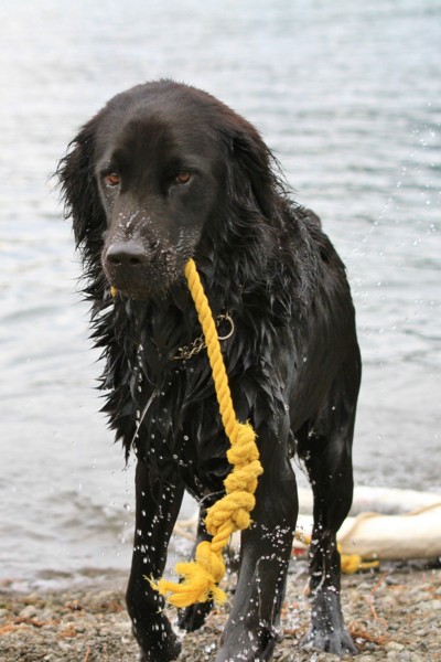 f:id:mamimami_LA:20130824120549j:image f:id:mamimami_LA:20130824120549j:image