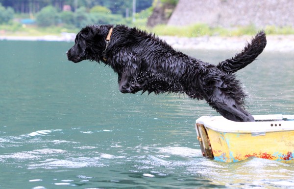 f:id:mamimami_LA:20130824121955j:image f:id:mamimami_LA:20130824121955j:image