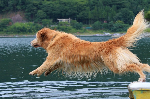 f:id:mamimami_LA:20130824124007j:image f:id:mamimami_LA:20130824124007j:image