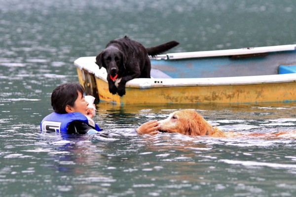 f:id:mamimami_LA:20130824125058j:image f:id:mamimami_LA:20130824125058j:image