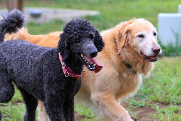 f:id:mamimami_LA:20130824171010j:image f:id:mamimami_LA:20130824171010j:image