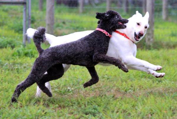 f:id:mamimami_LA:20130824171757j:image f:id:mamimami_LA:20130824171757j:image