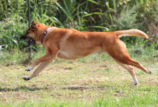 f:id:mamimami_LA:20130826084201j:image f:id:mamimami_LA:20130826084201j:image