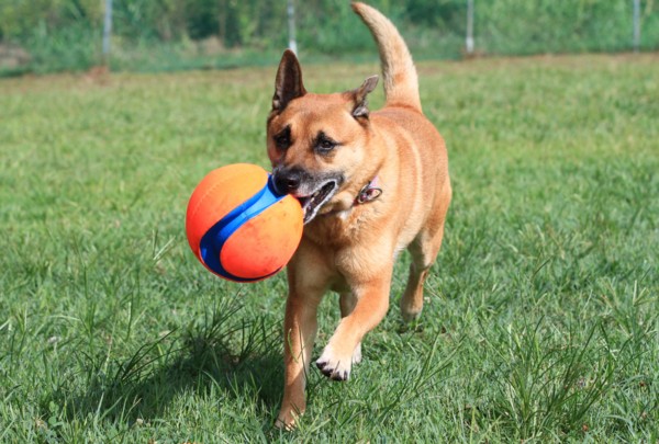 f:id:mamimami_LA:20130826084250j:image f:id:mamimami_LA:20130826084250j:image