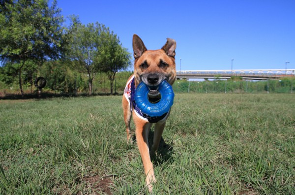 f:id:mamimami_LA:20130828083643j:image f:id:mamimami_LA:20130828083643j:image