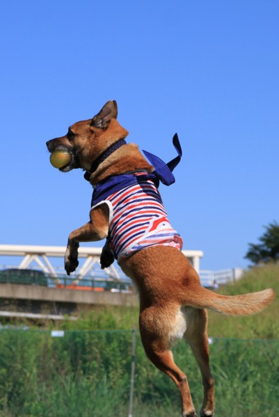 f:id:mamimami_LA:20130828083713j:image f:id:mamimami_LA:20130828083713j:image