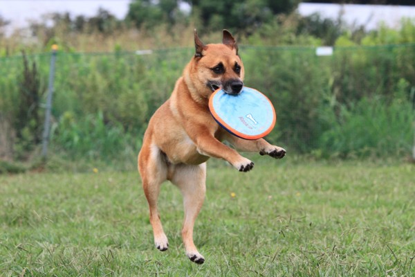 f:id:mamimami_LA:20130829084934j:image f:id:mamimami_LA:20130829084934j:image