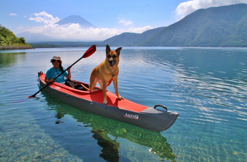 f:id:mamimami_LA:20130912101942j:image f:id:mamimami_LA:20130912101942j:image