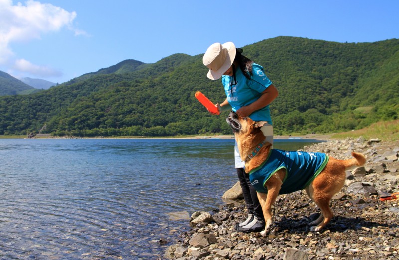 f:id:mamimami_LA:20130912103819j:image f:id:mamimami_LA:20130912103819j:image