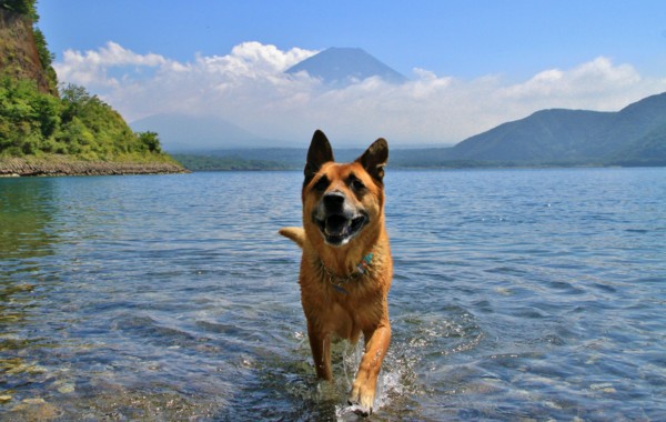 f:id:mamimami_LA:20130912115140j:image f:id:mamimami_LA:20130912115140j:image