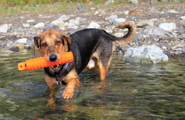 f:id:mamimami_LA:20130913084906j:image f:id:mamimami_LA:20130913084906j:image