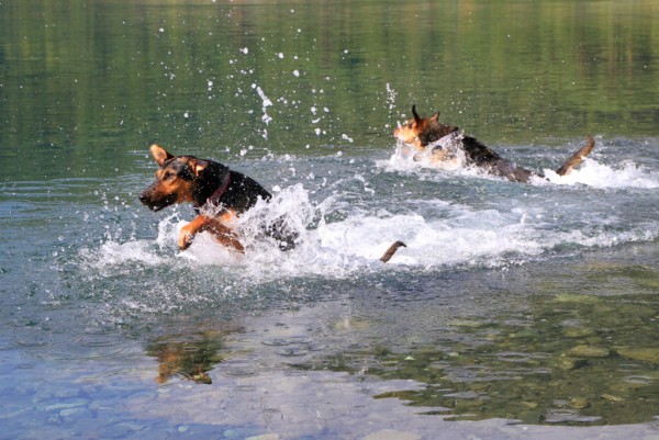 f:id:mamimami_LA:20130913085336j:image f:id:mamimami_LA:20130913085336j:image