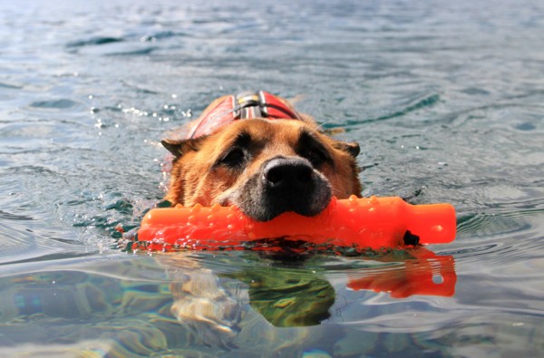 f:id:mamimami_LA:20130913091032j:image f:id:mamimami_LA:20130913091032j:image