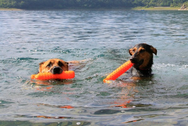 f:id:mamimami_LA:20130913092613j:image f:id:mamimami_LA:20130913092613j:image