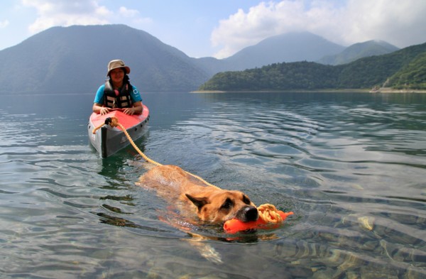 f:id:mamimami_LA:20130913094535j:image f:id:mamimami_LA:20130913094535j:image