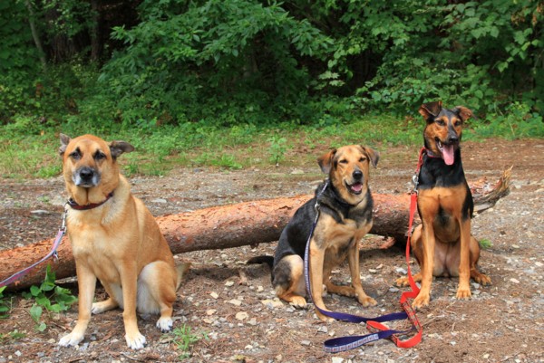 f:id:mamimami_LA:20130913114934j:image f:id:mamimami_LA:20130913114934j:image