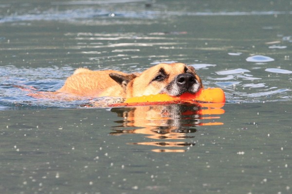 f:id:mamimami_LA:20130922093154j:image f:id:mamimami_LA:20130922093154j:image