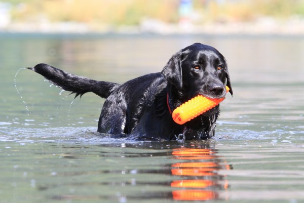 f:id:mamimami_LA:20130922094749j:image f:id:mamimami_LA:20130922094749j:image