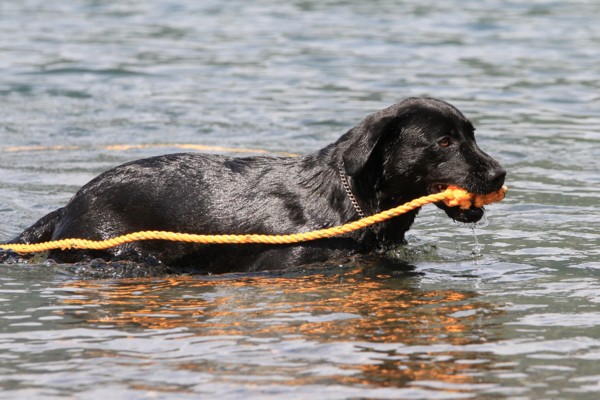 f:id:mamimami_LA:20130922101659j:image f:id:mamimami_LA:20130922101659j:image