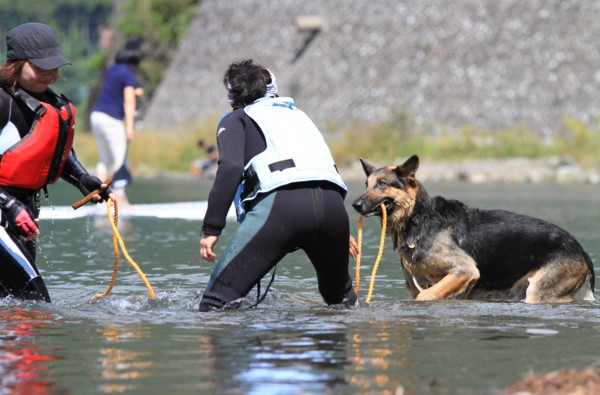 f:id:mamimami_LA:20130922103835j:image f:id:mamimami_LA:20130922103835j:image