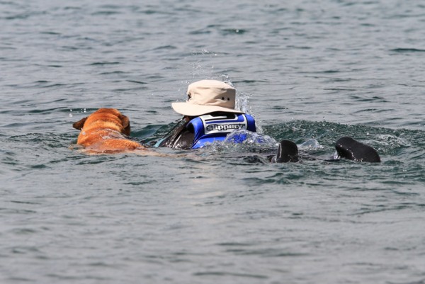 f:id:mamimami_LA:20130922105439j:image f:id:mamimami_LA:20130922105439j:image