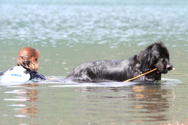 f:id:mamimami_LA:20130922110332j:image f:id:mamimami_LA:20130922110332j:image