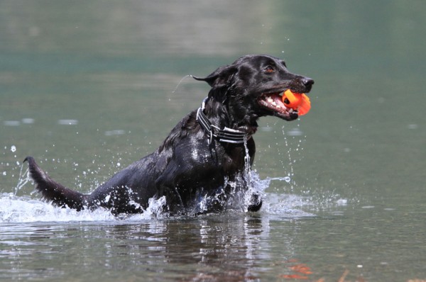 f:id:mamimami_LA:20130922111128j:image f:id:mamimami_LA:20130922111128j:image