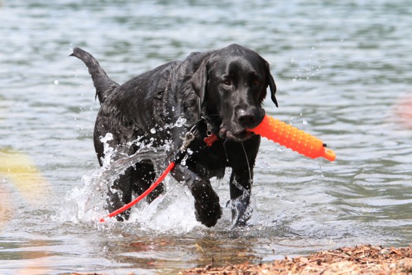 f:id:mamimami_LA:20130922113337j:image f:id:mamimami_LA:20130922113337j:image