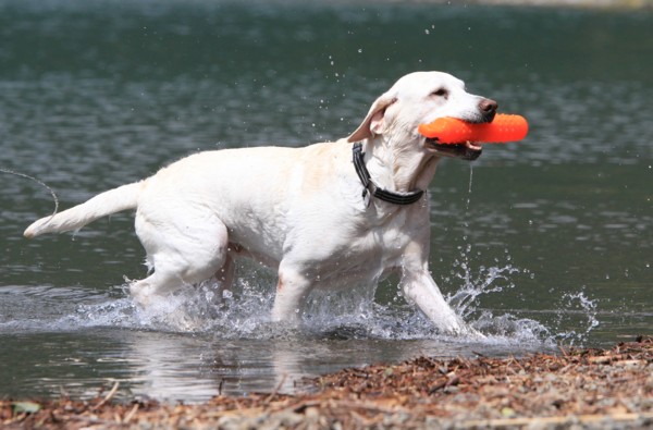 f:id:mamimami_LA:20130922114516j:image f:id:mamimami_LA:20130922114516j:image