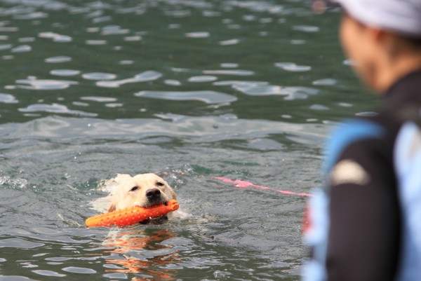 f:id:mamimami_LA:20130922120059j:image f:id:mamimami_LA:20130922120059j:image