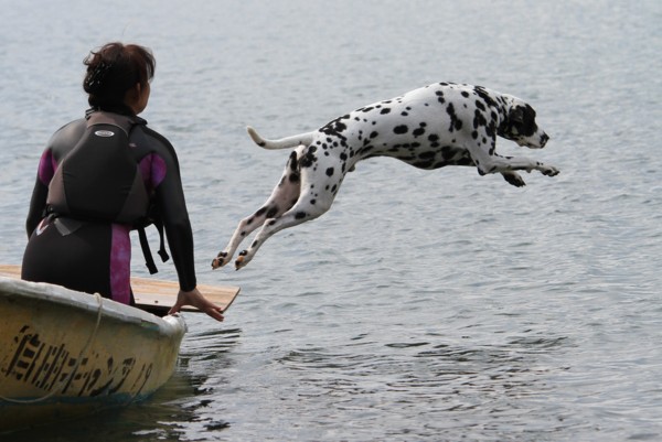 f:id:mamimami_LA:20130922124758j:image f:id:mamimami_LA:20130922124758j:image