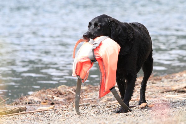 f:id:mamimami_LA:20130922130928j:image f:id:mamimami_LA:20130922130928j:image