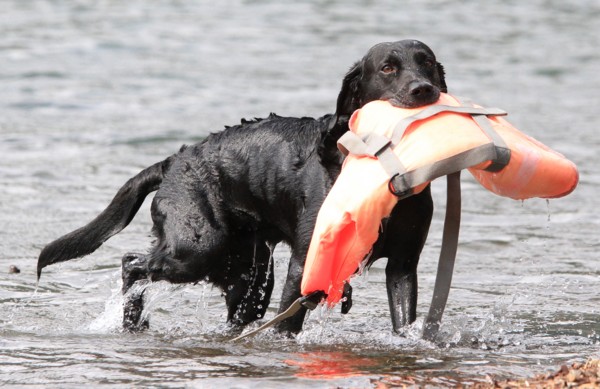 f:id:mamimami_LA:20130922132446j:image f:id:mamimami_LA:20130922132446j:image