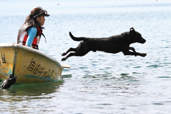 f:id:mamimami_LA:20130922133248j:image f:id:mamimami_LA:20130922133248j:image