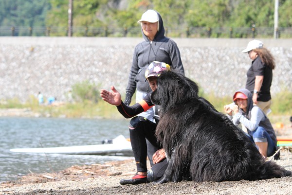 f:id:mamimami_LA:20130922135354j:image f:id:mamimami_LA:20130922135354j:image