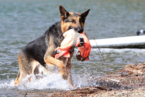 f:id:mamimami_LA:20130922140836j:image f:id:mamimami_LA:20130922140836j:image