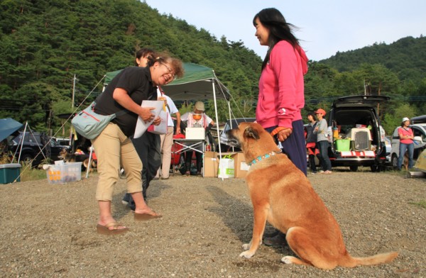 f:id:mamimami_LA:20130922155115j:image f:id:mamimami_LA:20130922155115j:image