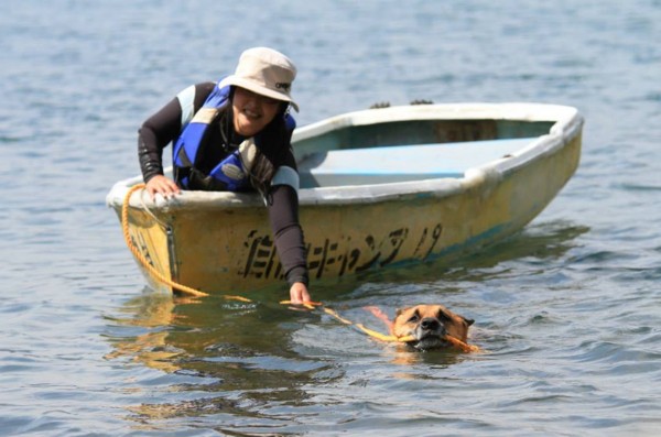 f:id:mamimami_LA:20130925195938j:image f:id:mamimami_LA:20130925195938j:image