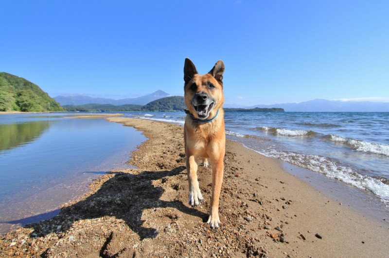 f:id:mamimami_LA:20130929091317j:image f:id:mamimami_LA:20130929091317j:image