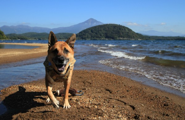 f:id:mamimami_LA:20130929092515j:image f:id:mamimami_LA:20130929092515j:image