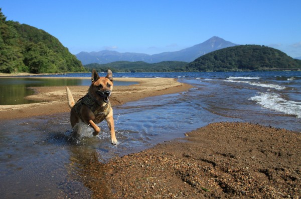 f:id:mamimami_LA:20130929092919j:image f:id:mamimami_LA:20130929092919j:image