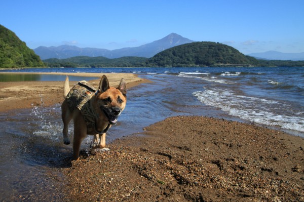 f:id:mamimami_LA:20130929092920j:image f:id:mamimami_LA:20130929092920j:image