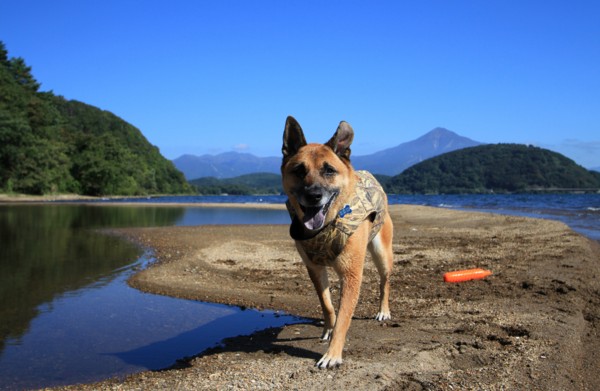 f:id:mamimami_LA:20130929093147j:image f:id:mamimami_LA:20130929093147j:image