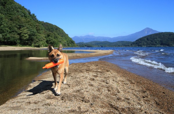 f:id:mamimami_LA:20130929093555j:image f:id:mamimami_LA:20130929093555j:image