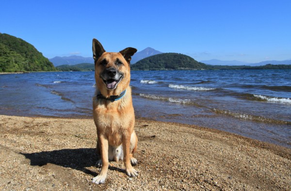 f:id:mamimami_LA:20130929093822j:image f:id:mamimami_LA:20130929093822j:image