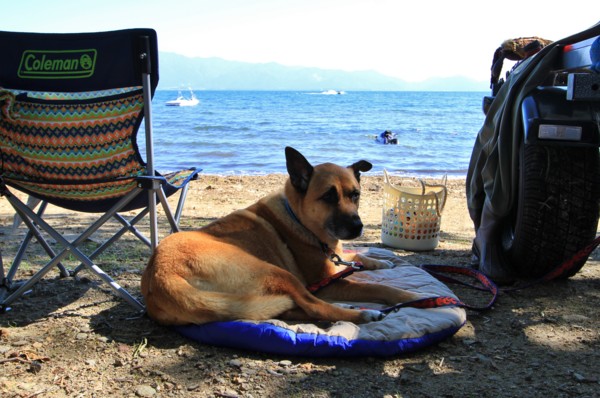 f:id:mamimami_LA:20130929101123j:image f:id:mamimami_LA:20130929101123j:image