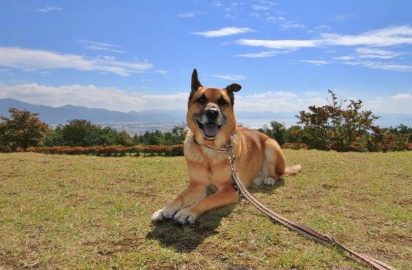 f:id:mamimami_LA:20130930103846j:image f:id:mamimami_LA:20130930103846j:image