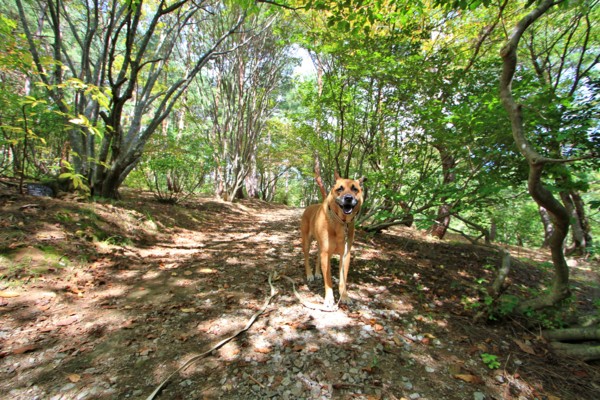 f:id:mamimami_LA:20130930104858j:image f:id:mamimami_LA:20130930104858j:image