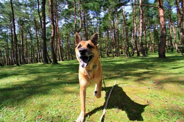 f:id:mamimami_LA:20130930112205j:image f:id:mamimami_LA:20130930112205j:image